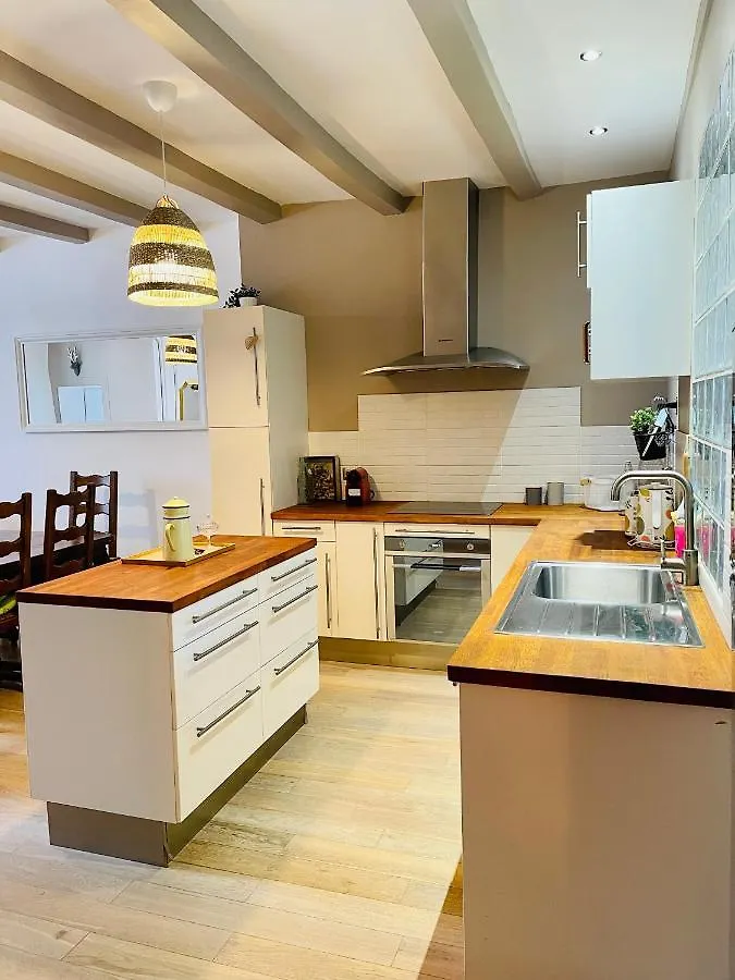 Maison Gabriel - Logement Charmant Au Coeur De La Cite Medievale - T3 75M2 Albertville France