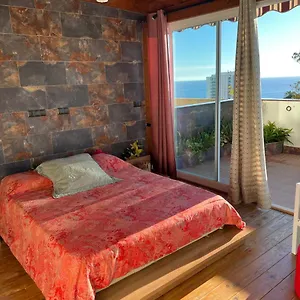 https://duplex-de-lujo-alcia.es-andalucia.com